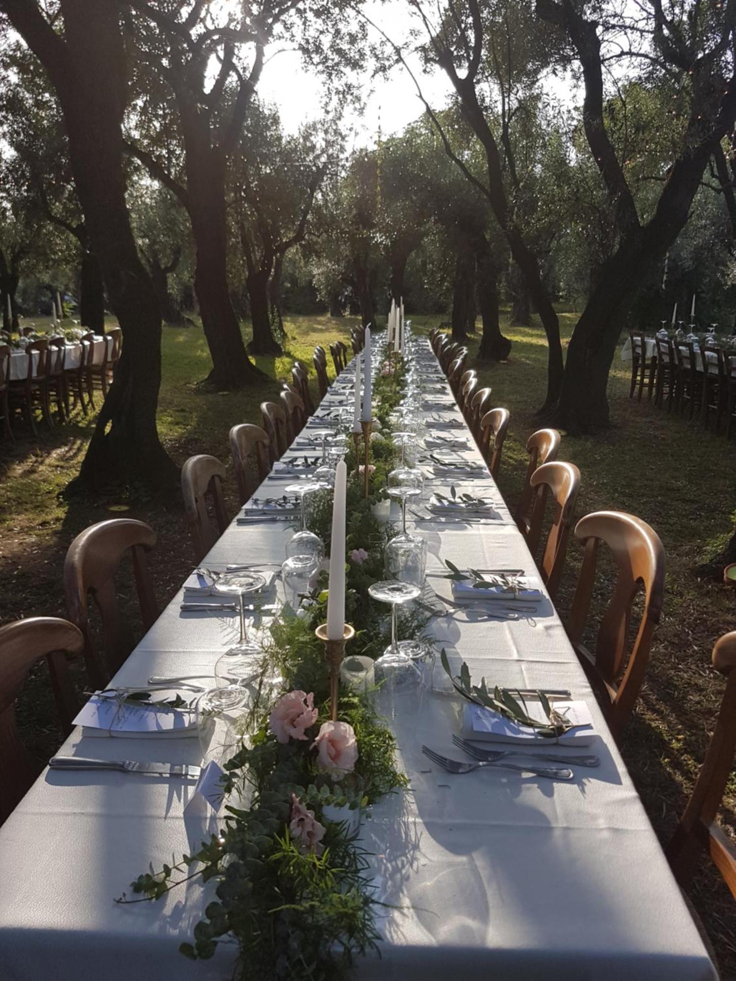 Antico Uliveto Guest House Seravezza Ngoại thất bức ảnh