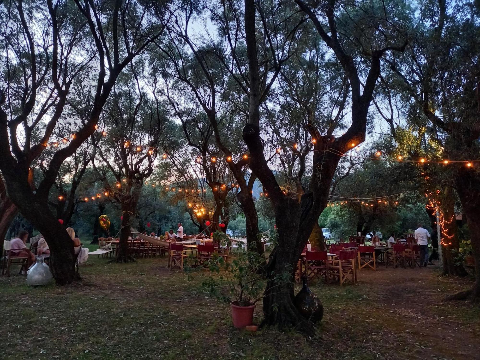 Antico Uliveto Guest House Seravezza Ngoại thất bức ảnh