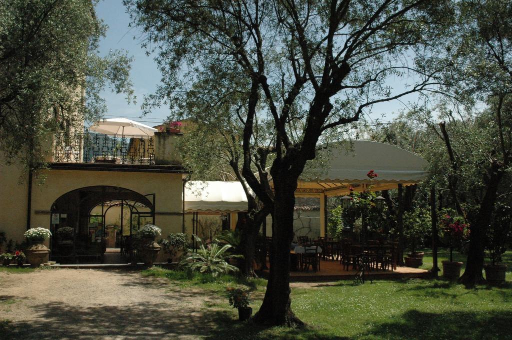 Antico Uliveto Guest House Seravezza Ngoại thất bức ảnh