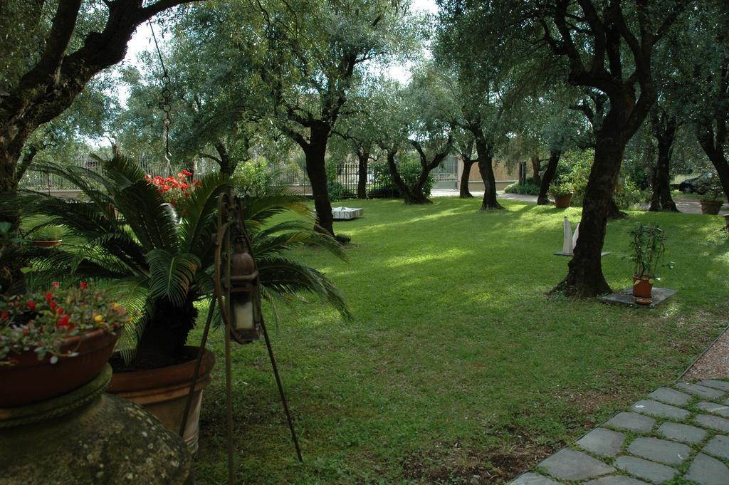 Antico Uliveto Guest House Seravezza Ngoại thất bức ảnh