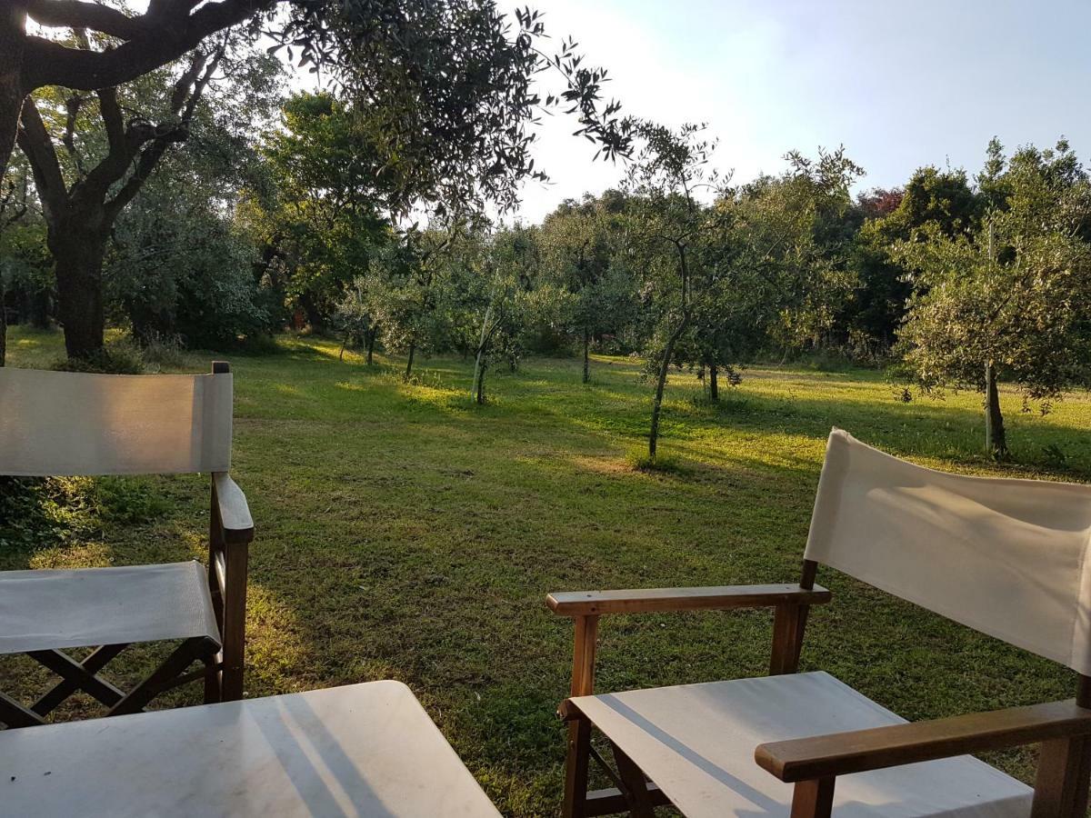 Antico Uliveto Guest House Seravezza Ngoại thất bức ảnh