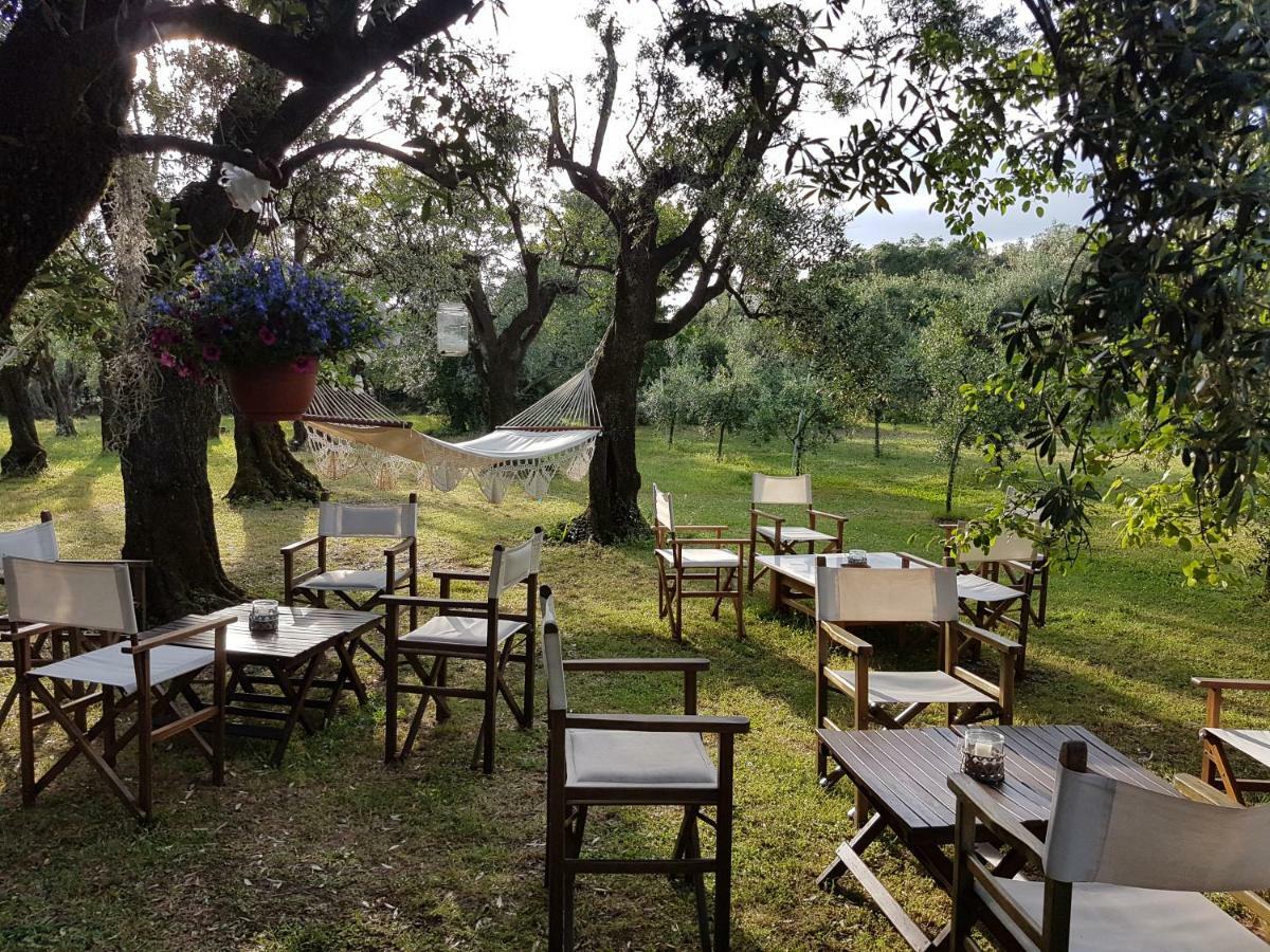 Antico Uliveto Guest House Seravezza Ngoại thất bức ảnh