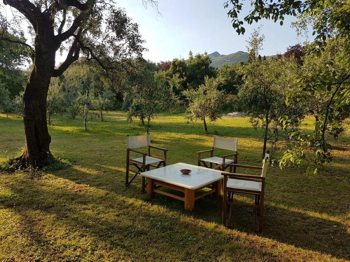 Antico Uliveto Guest House Seravezza Ngoại thất bức ảnh